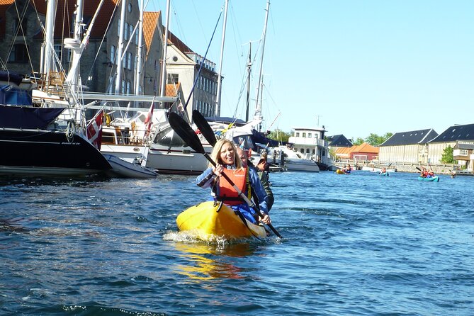 2 Hours Guided Kayak Tour in Copenhagen Harbor - Price and value for a 2-hour guided kayak in Copenhagen