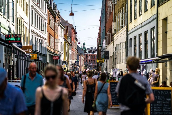 Copenhagen City Private Walking Tour - A private route that starts with big views at Højbro Plads