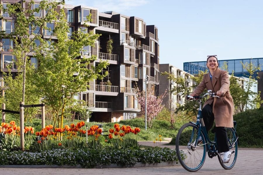 Copenhagen: Guided Architecture and Sustainability Tour - Key things I’d highlight before you go