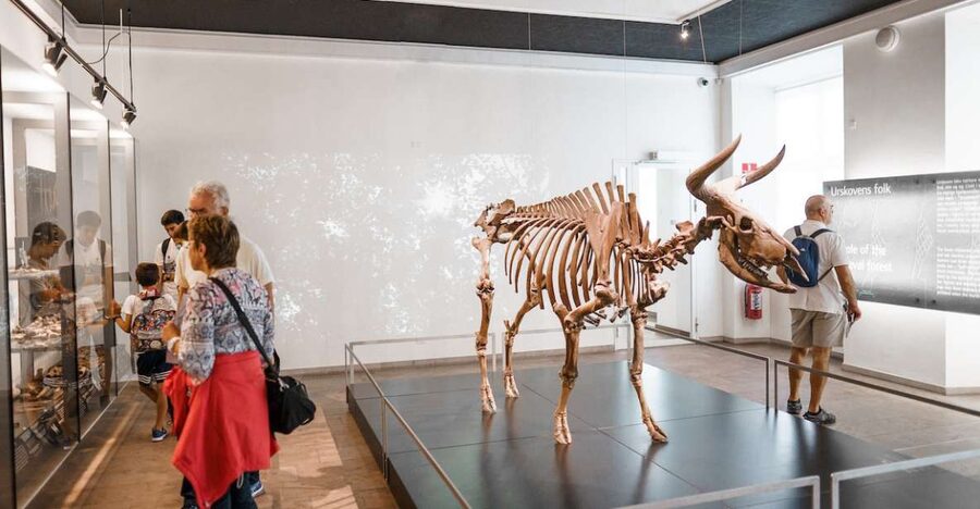 Copenhagen: National Museum of Denmark Entry Ticket - National Museum of Denmark: Why This Ticket Fits Copenhagen So Well