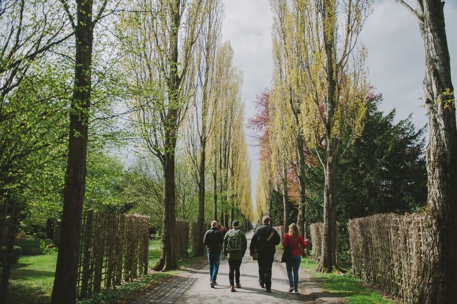 Copenhagen: Nørrebro Neighborhood Tour - Who This Tour Fits Best, and Who Might Skip It