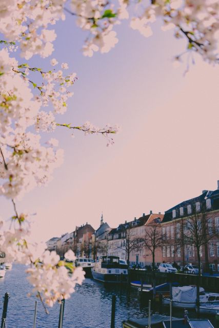 Copenhagen Private 3h biking tour - Bikes and Comfort: The Practical Stuff That Changes Everything