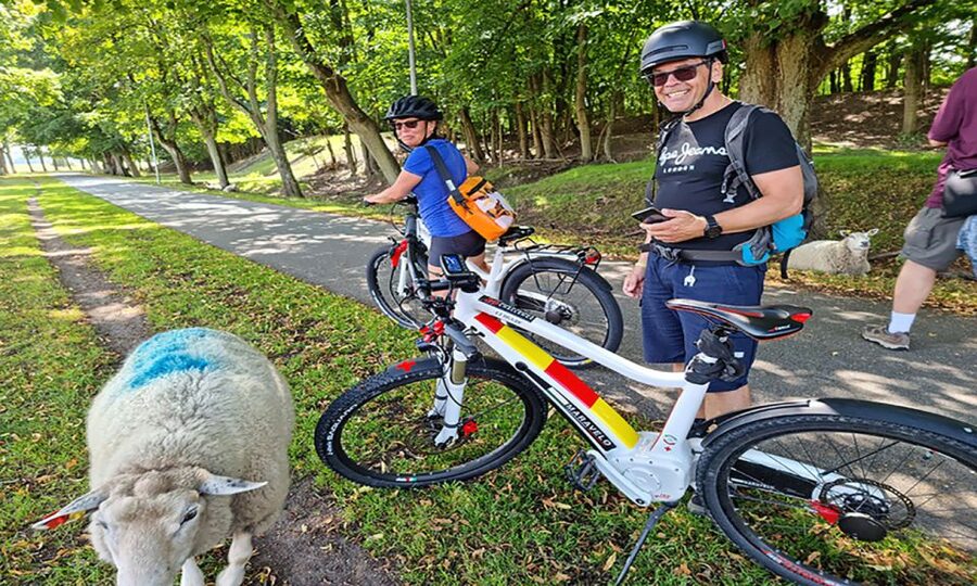 Copenhagen: Private Forgotten Giants E-Bike Treasure Hunt - Getting comfortable on the Maravelo e-bikes