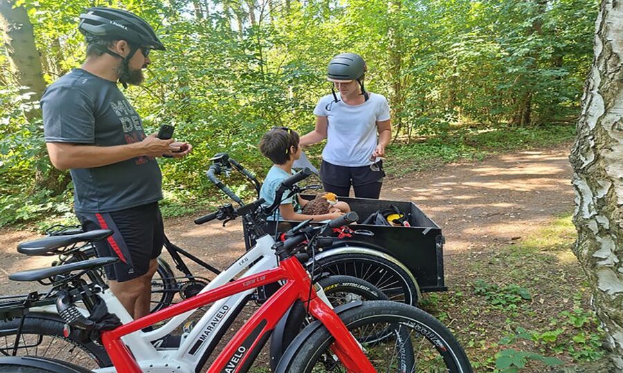 Copenhagen: Private Forgotten Giants E-Bike Treasure Hunt - Glostrup: 50-minute bike tour and the art-search workflow