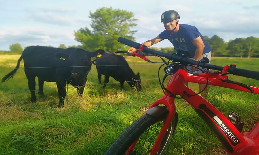 Copenhagen: Private Forgotten Giants E-Bike Treasure Hunt - Høje-Taastrup: the 80-minute middle stretch is where the hunt really clicks