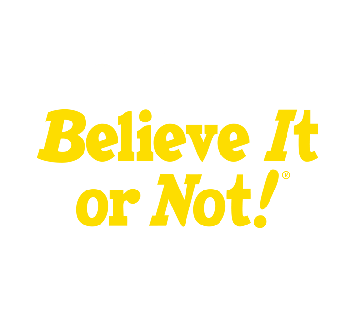 Copenhagen: Ripley's Believe It or Not! 4-Way Combo Ticket - Hans Christian Andersen Experience: fairy tales you can walk through