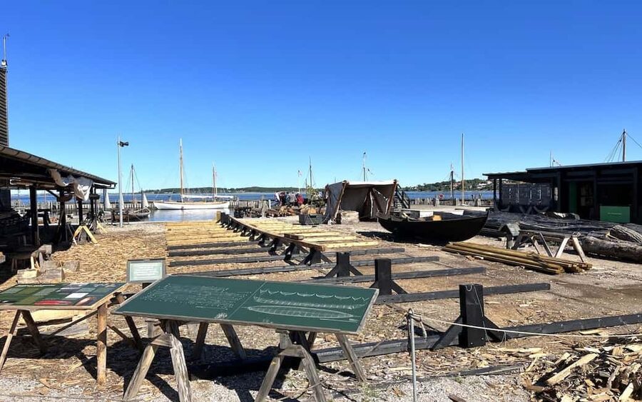Copenhagen: Roskilde, the Viking City Tour in English - What the Viking Ship Museum Experience Feels Like