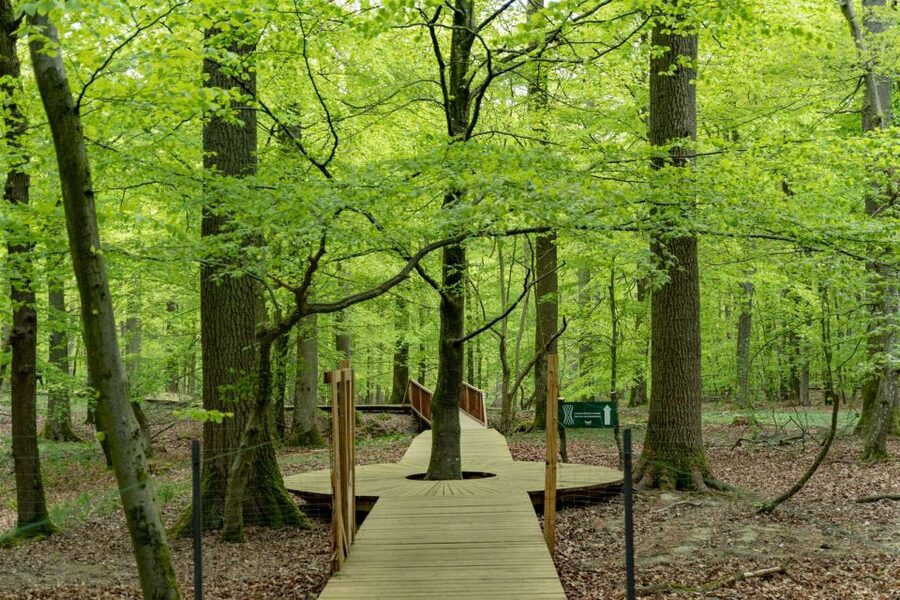Copenhagen: The Forest Tower & Forgotten Giants Trolls Trip - Should you book it?