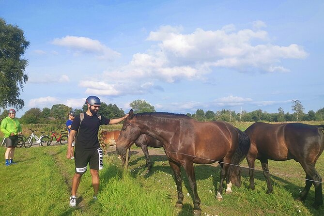 E-biking Central Forgotten Giants' s Adventure - Stop-by-stop: what the giants feel like in real life