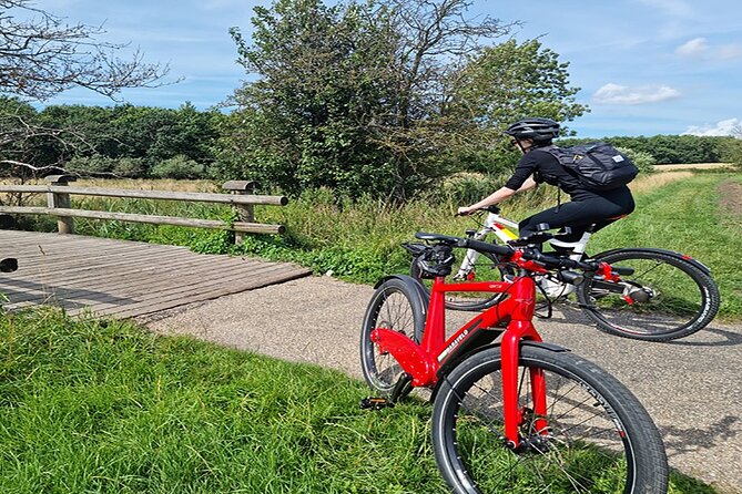 E-biking Northern Forgotten Giants' s Adventure - Next Up: Little Tilde, Teddy Friendly, and Thomas on the Mountain