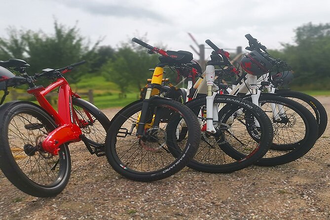E-biking Northern Forgotten Giants' s Adventure - What Makes This Worth $209 for 4.5 Hours