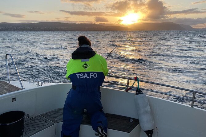Fishing Experience in Faroe Islands - Birdwatching bonus: storm petrels, puffins, and gannets