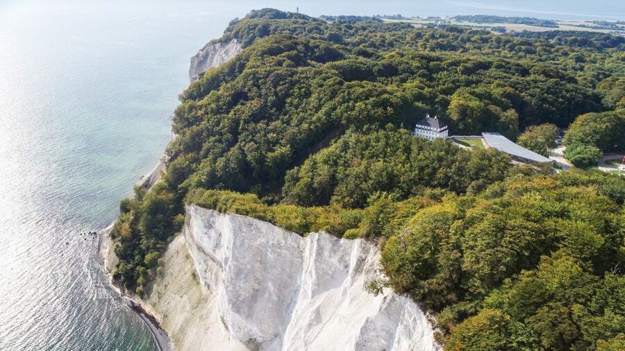 From Copenhagen: Round-Trip to Møns Klint and Forest Tower - Forest Tower (Skovtårnet): Your View Above the Trees