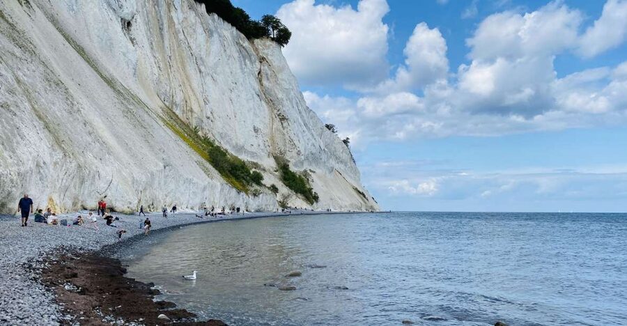 From Copenhagen: Round-Trip to Møns Klint and Forest Tower - Value for $112: What You’re Paying For, and What You’re Not