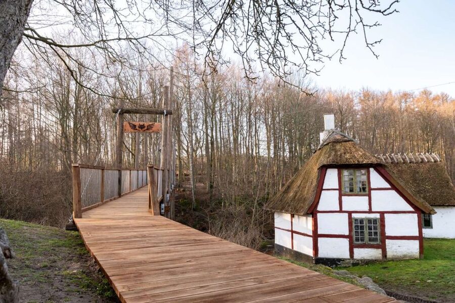 From Copenhagen: Round-Trip to Møns Klint and Forest Tower - Who This Trip Fits Best (And Who Should Skip It)