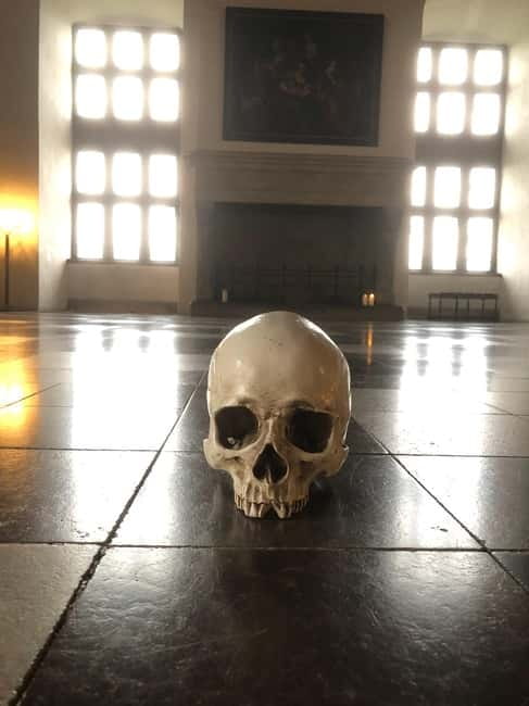 Full-Day Tour; Castle, Palace, Cathedral and Viking Ships - A long day that connects Hamlet, royal Denmark, and Viking ships