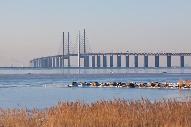 Malmö Full Day Private Trip, Sightseeing Tour & Lunch Option - Key highlights you should care about
