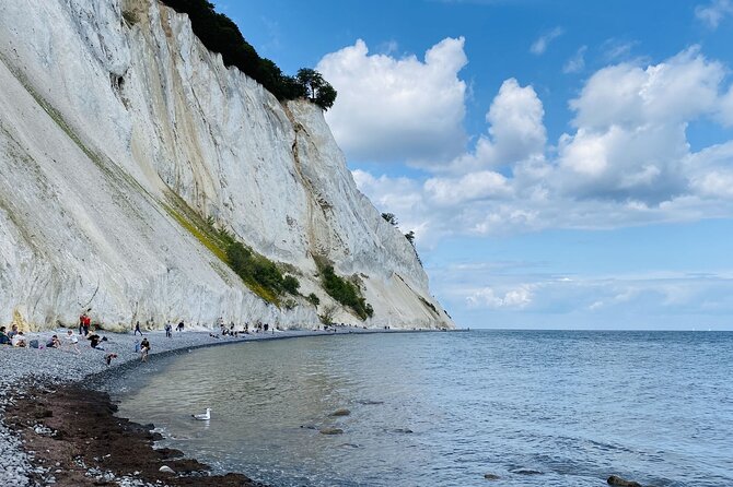 Møns klint and The Forest tower - A day tour from Copenhagen - Key points to know before you go