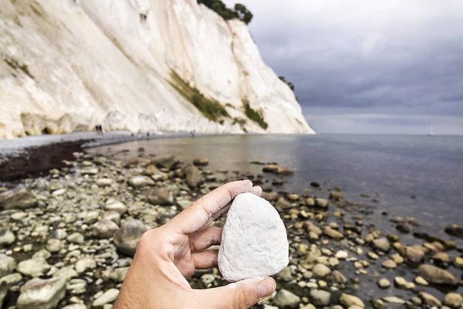 Møns klint and The Forest tower - A day tour from Copenhagen - Price and value: what $227.45 buys you, and what it does not