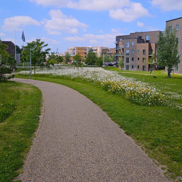 Odense: City walk - The new green Odense - City development - The guide is the real value: conversation, photos, and local context