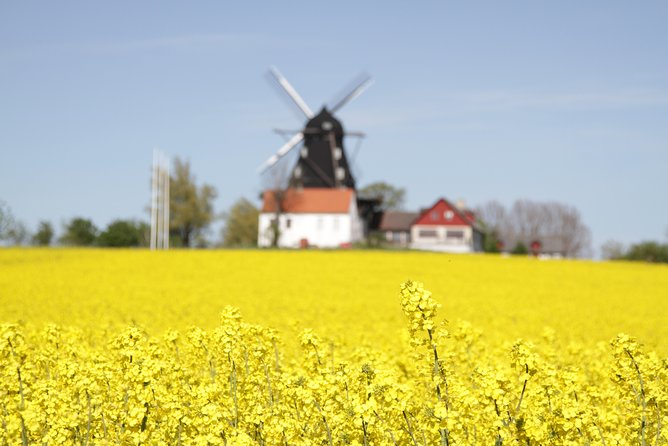 Private tour Copenhagen to Lund & Malmö City daytrip - The quick Travelshop briefing and getting back to Copenhagen by train