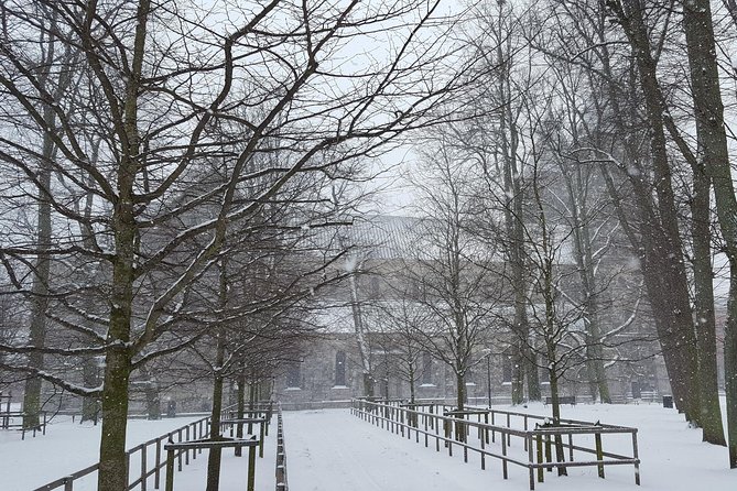 Private tour Copenhagen to Lund & Malmö City daytrip - The price: is $1,450 per group good value?