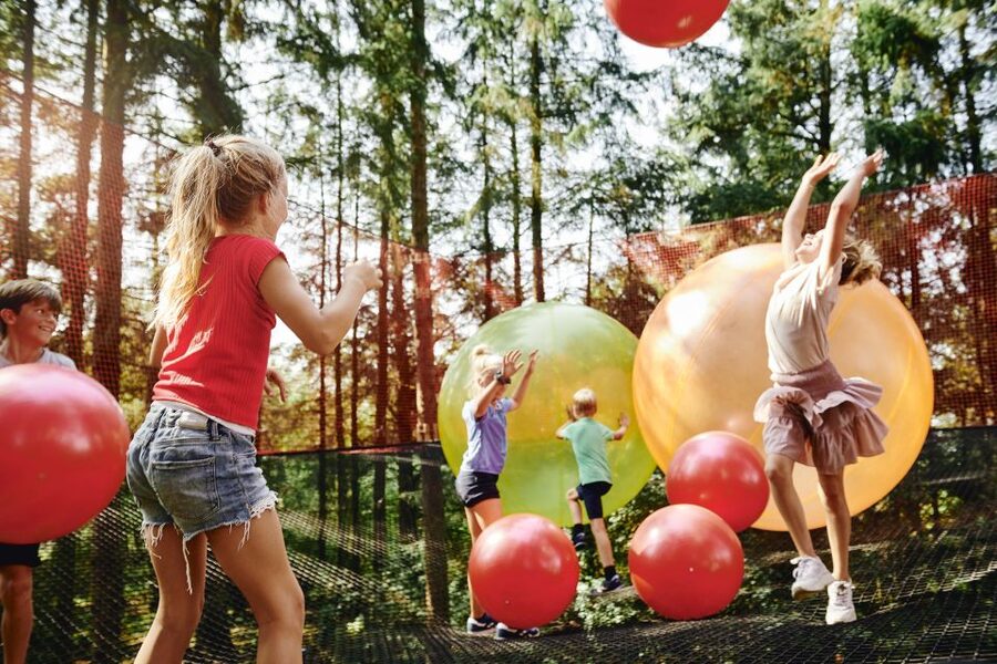 Skjern: WOW PARK Entry Ticket - WOW PARK Skjern in One Glance