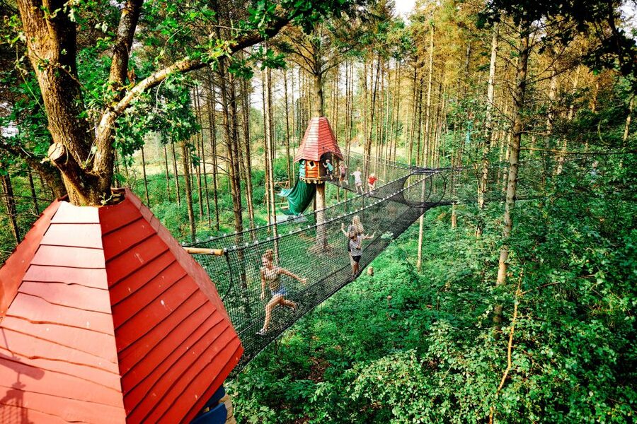 Skjern: WOW PARK Entry Ticket - Treetops, Hanging Bridges, and Zip Lines: Your Core Loop