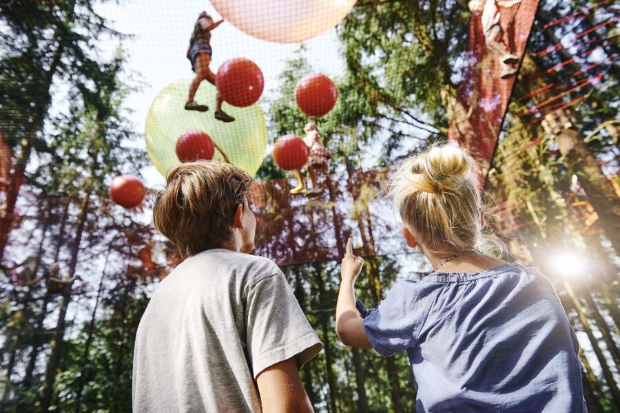 Skjern: WOW PARK Entry Ticket - Tarzan Swings and High Hanging Bridges for the Brave