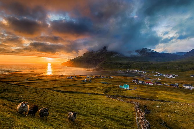 Súðuroy Island Day Tour, Faroe Islands - Tvoroyri lunch and the History and Maritime Museum stop
