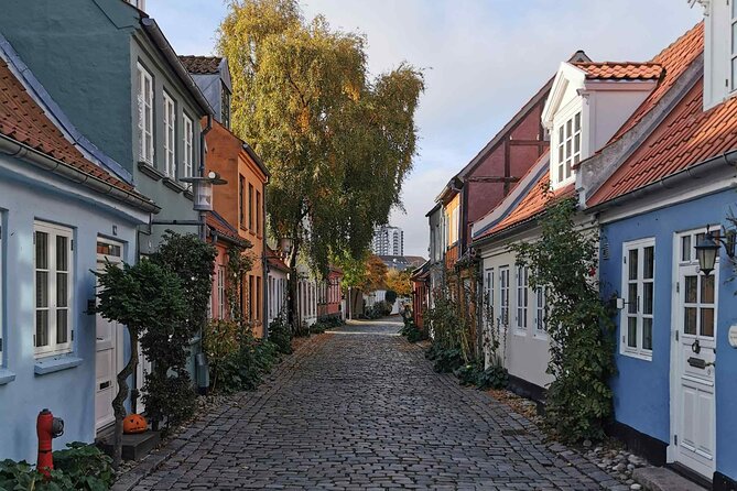 The Ancient Viking Stronghold of Aros: A Self-Guided Audio Tour in Aarhus - Price and time: what $11.99 gets you
