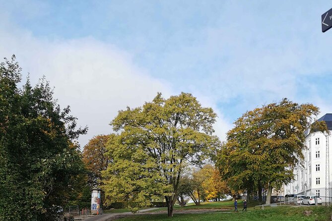 The Ancient Viking Stronghold of Aros: A Self-Guided Audio Tour in Aarhus - Aros Kunstmuseum and the Viking Museum option
