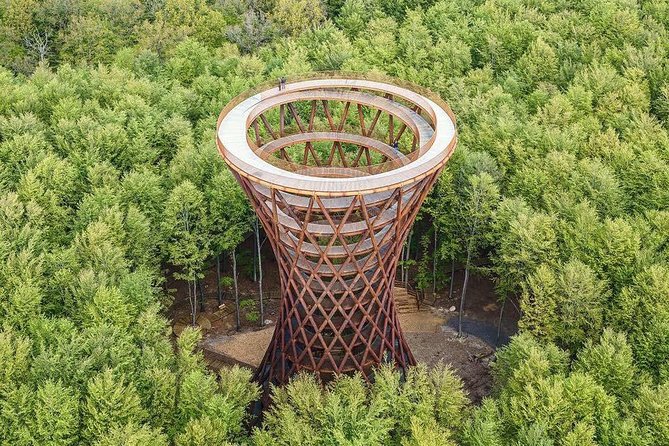 The Forest Tower and Forgotten Giants-A day tour from Copenhagen - Key highlights (what to focus on)